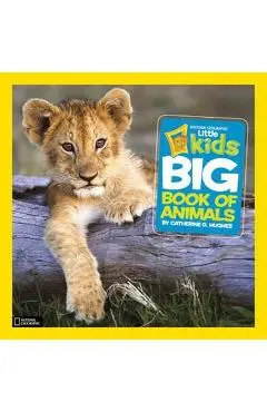 Little Kids First Big Book of Animals