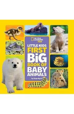 Little Kids First Big Book of Baby Animals - Maya Myers
