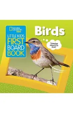 Little Kids First Board Book: Birds - Ruth Musgrave
