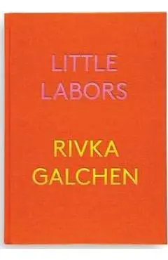 Little Labors - Rivka Galchen