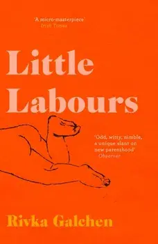 Little Labours, Paperback/Rivka Galchen