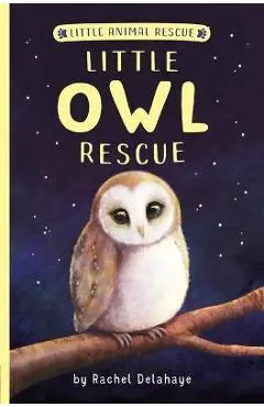 Little Owl Rescue - Rachel Delahaye
