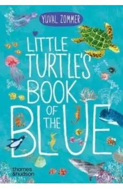 Little Turtle's Book of the Blue - Yuval Zommer