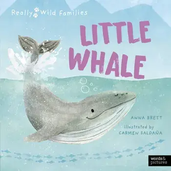 Little Whale. A Day in the Life of a Whale Calf, Hardback/Anna Brett