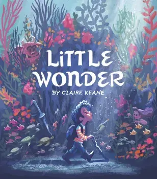 Little Wonder, Hardback/***