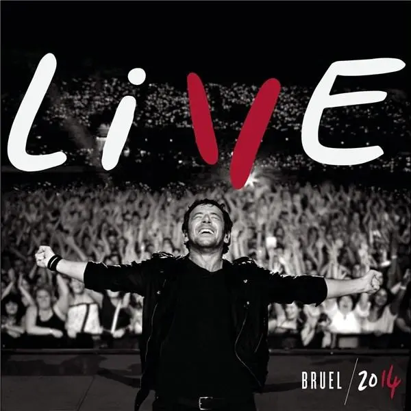 Live 2014 | Patrick Bruel
