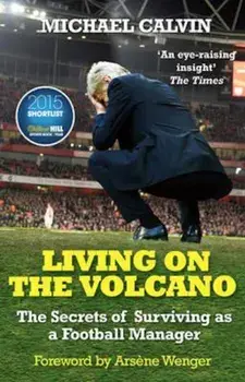 Living on the Volcano, Paperback/Michael Calvin