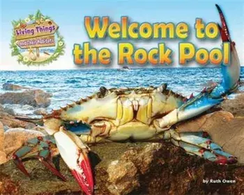 Living Things and Their Habitats: Welcome to the Rock Pool, Paperback/Ruth Owen