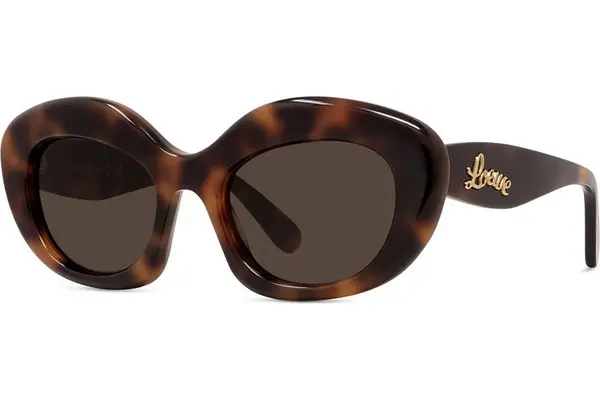 Loewe Curvy Havana Cat Eye Sunglasses