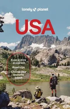 Lonely Planet USA - Regis St Louis