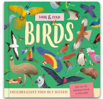 Look & Find : Insects and Minibeasts/Laura Chamberlain