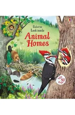 Look Inside Animal Homes - Emily Bone