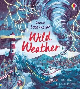 Look Inside Wild Weather/Emily Bone