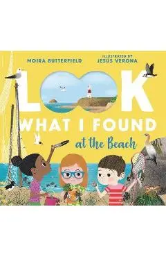 Look What I Found at the Beach - Moira Butterfield
