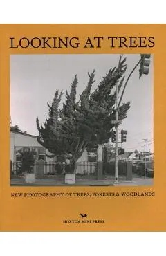 Looking at Trees: New Photography of Trees, Forests and Woodlands - Sophie Howarth