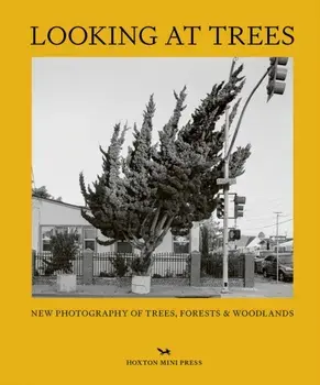 Looking At Trees. New Photography of Trees, Forests & Woodlands, Hardback/Sophie Howarth