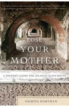 Lose Your Mother: A Journey Along the Atlantic Slave Route - Saidiya Hartman