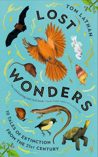 Lost Wonders