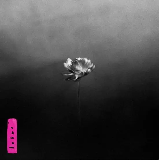 Lotus | Little Simz