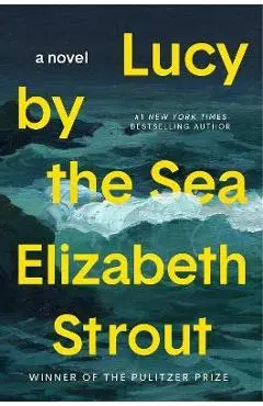 Lucy by the Sea - Elizabeth Strout