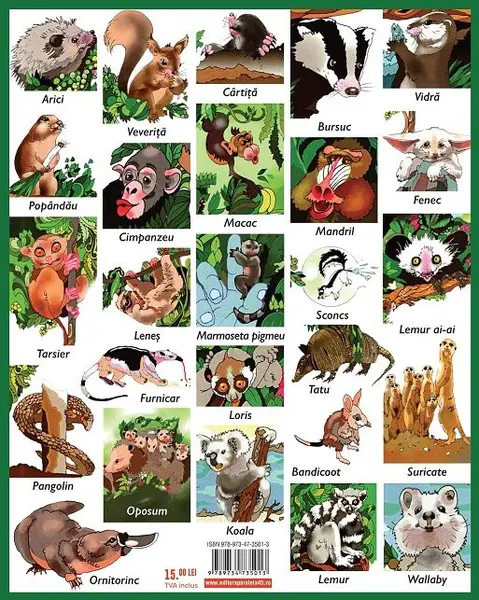 Luna-Betiluna si Dora-Minodora, prietene cu doi arici si alte animale mici | Anamaria Smigelschi