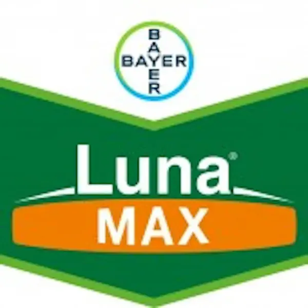 Luna Max 275SE 10 ml fungicid sistemic si de contact, Bayer, fainare (vita de vie) - Default Title