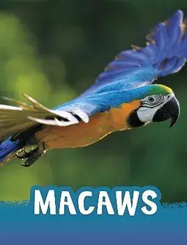 Macaws, Paperback/Jaclyn Jaycox
