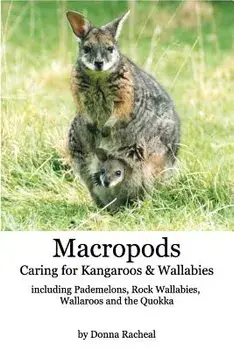 Macropods - Caring for Kangaroos and Wallabies, Paperback/Donna Racheal