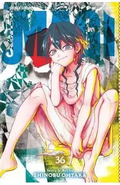 Magi: The Labyrinth of Magic, Vol. 36 - Shinobu Ohtaka