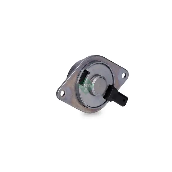 Magnet central, poz. arbore cu came Schaeffler INA 427 0018 10