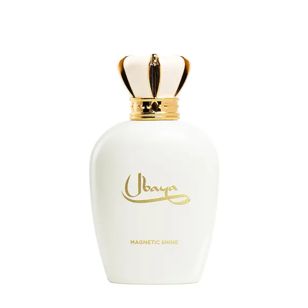 Magnetic shine 100 ml