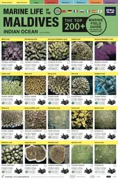 Maldives Marine Life Field Guide. "Top 200+"/Tim Godfrey
