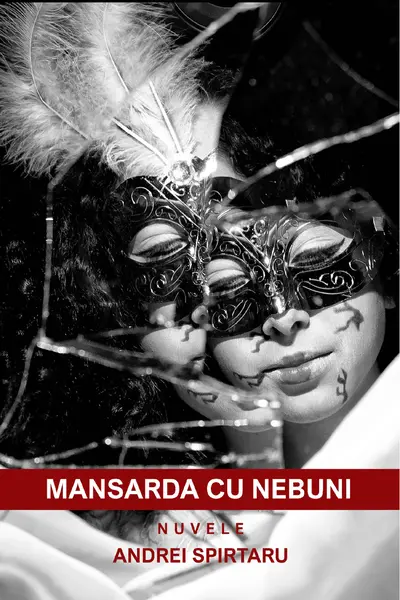Mansarda cu nebuni