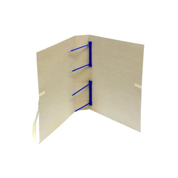 Mapa arhivare cu snur 490 x 310 mm Mapa arhivare cu snur 490 x 310 mm