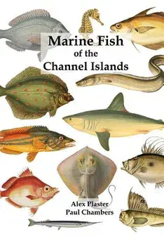 Marine Fish of the Channel Islands/Paul Chambers