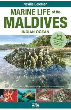 Marine Life of the Maldives - Indian Ocean