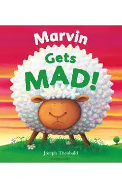 Marvin Gets Mad!