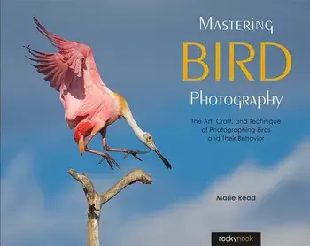 Mastering Bird Photography: The Art, Craft, and Technique of Photographing Birds and Their Behavior, Paperback/Marie Read
