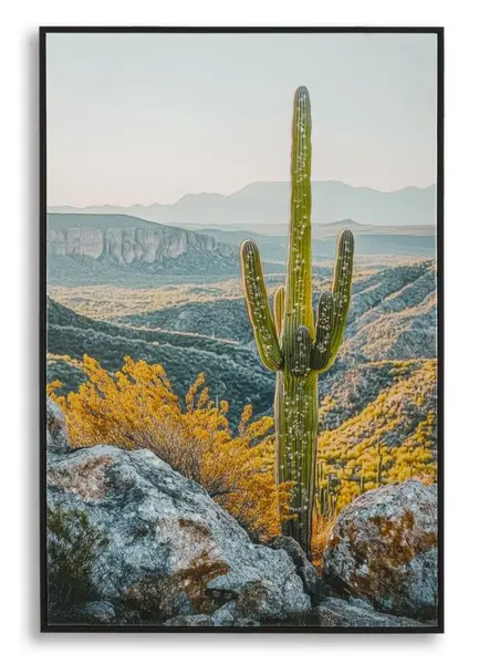 Mauro Ferretti Pictura Pe Panza Lacuita, Cu Rama, Cactus -B- Cm 60X4X88 | Aosom Romania