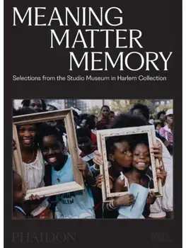 Meaning Matter Memory. Selections from the Studio Museum in Harlem Collection, Paperback/Lowery Stokes Sims