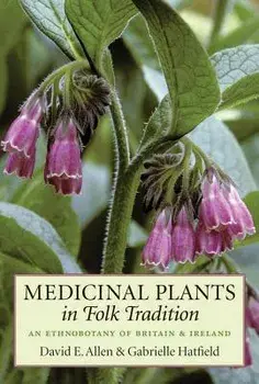 Medicinal Plants in Folk Tradition: An Ethnobotany of Britain & Ireland, Paperback/David Allen