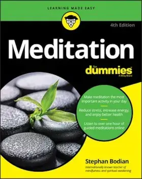 Meditation for Dummies, Paperback/Stephan Bodian
