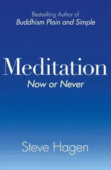 Meditation Now or Never, Paperback/Steve Hagen