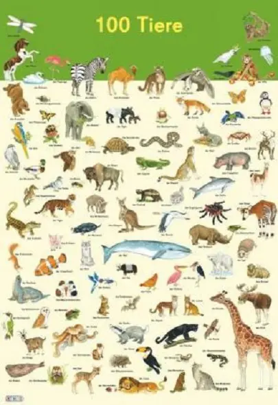 Mein Lernposter |