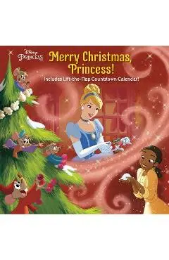 Merry Christmas, Princess! (Disney Princess) - Nicole Johnson