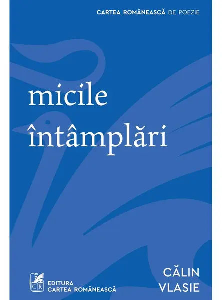micile întâmplări