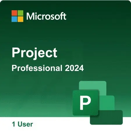 Microsoft Licenta Software Microsoft Project Professional 2024, Licenta Permanenta