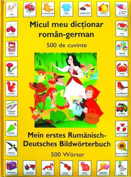 Micul meu dictionar Roman - German |