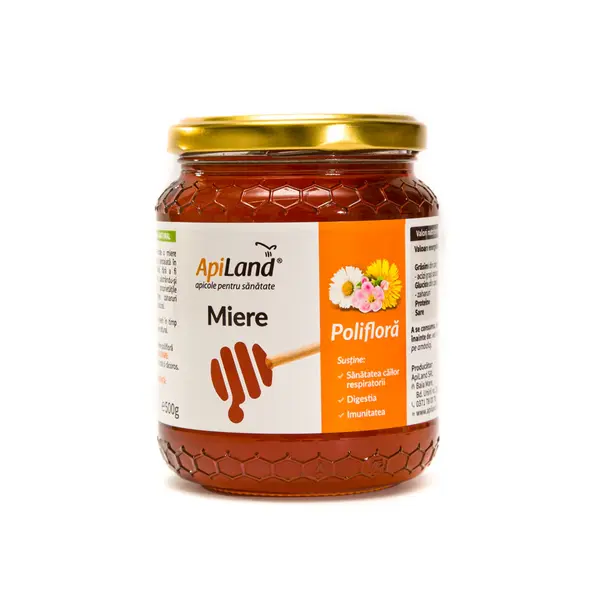 Miere Polifloră - 500g - Default Title