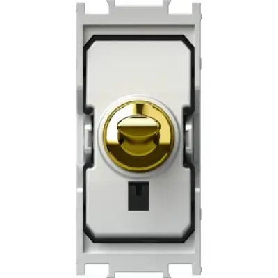 Modul Edge Intrerupator pin cruce 16AX 250V~ 1M auriu, TEM Modul TEM-SP70PG-U